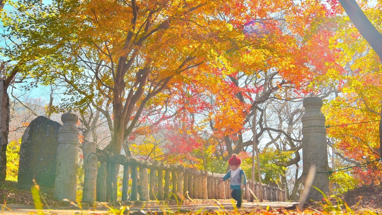 Photo of Outdoor in Ina