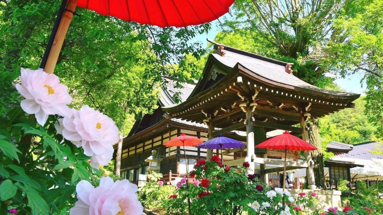 Photo of Outdoor in Ina