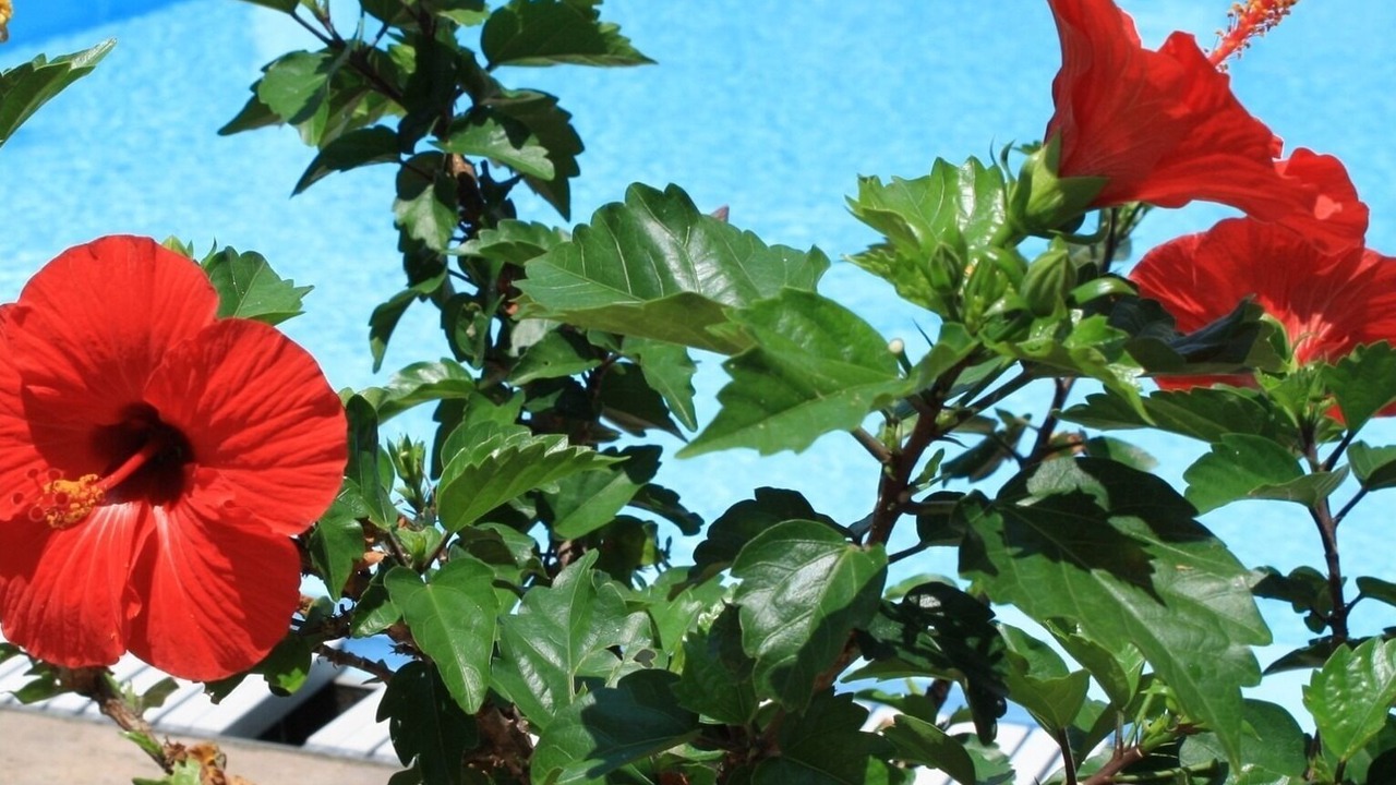 Photo of Outdoor in Hamajimacho Hamajima