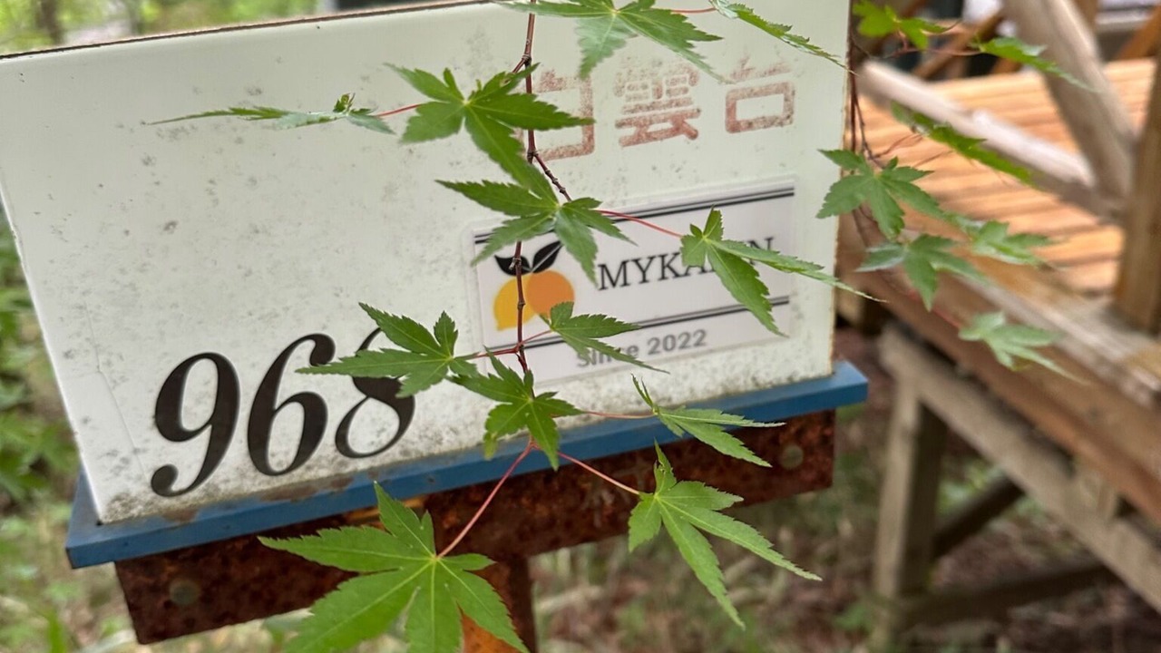 Photo of Outdoor in Nasu