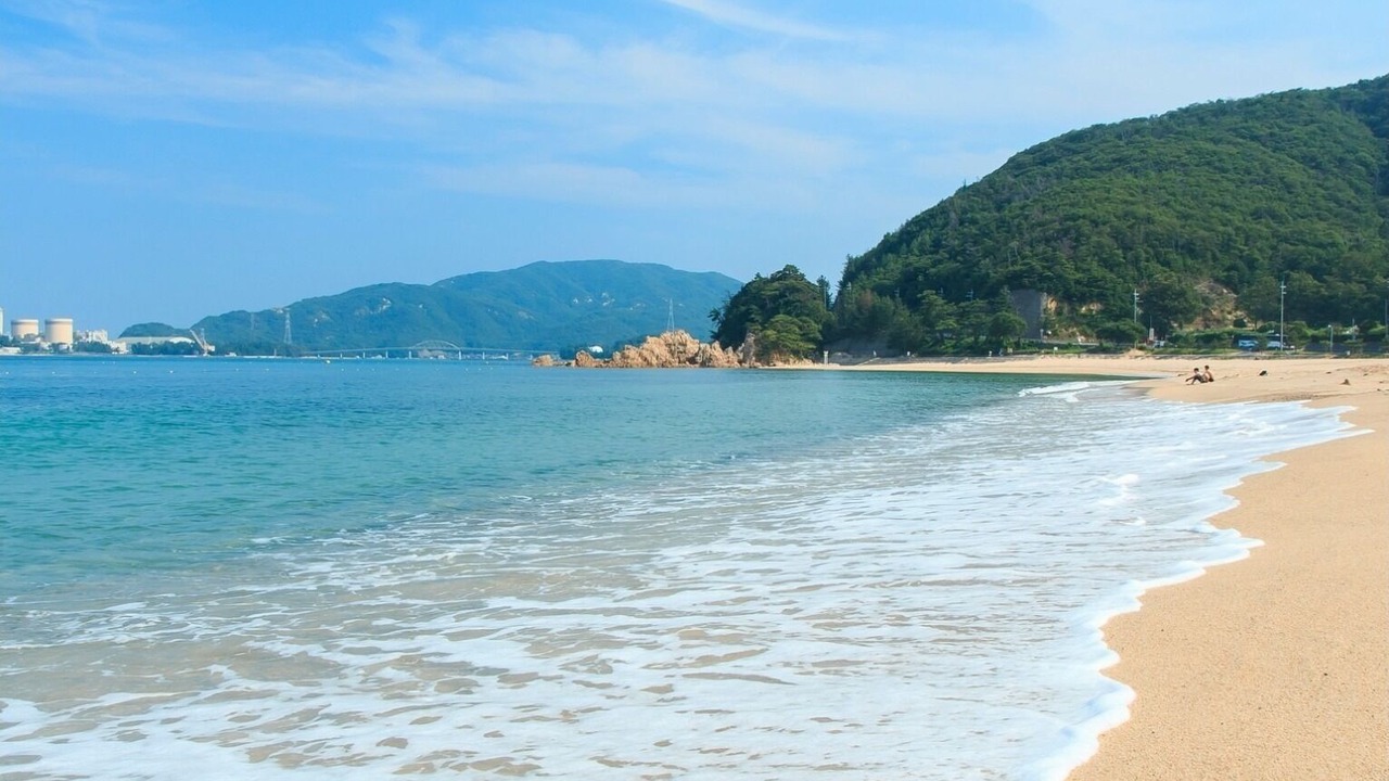 Photo of Others in Fukui