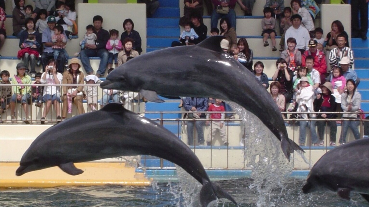 Photo of Others in Fukui