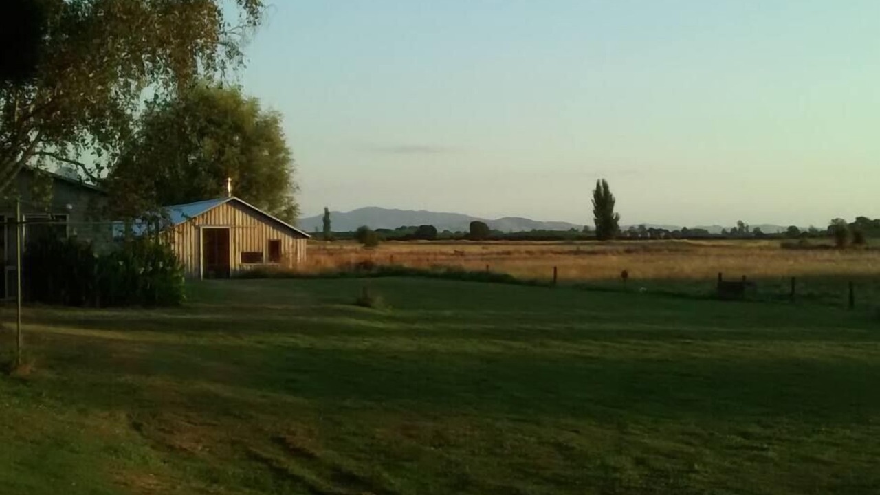 Photo of Others in Pukemoremore