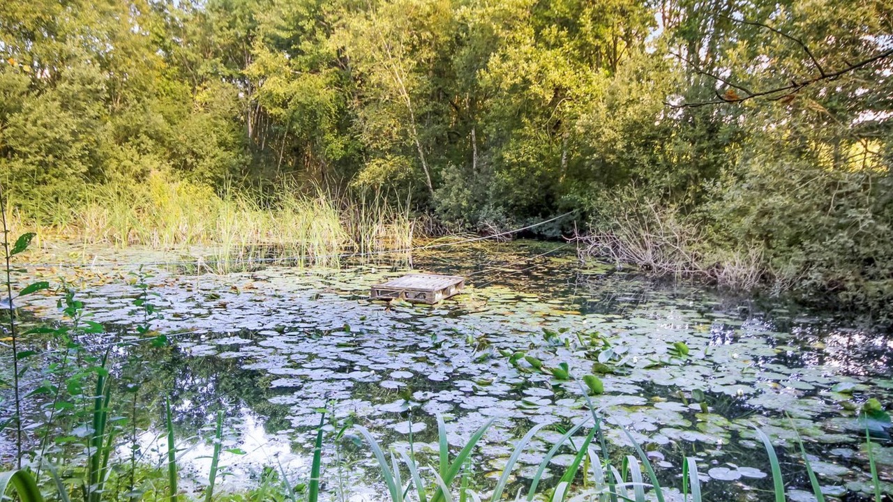 Photo of Outdoor in Ribe