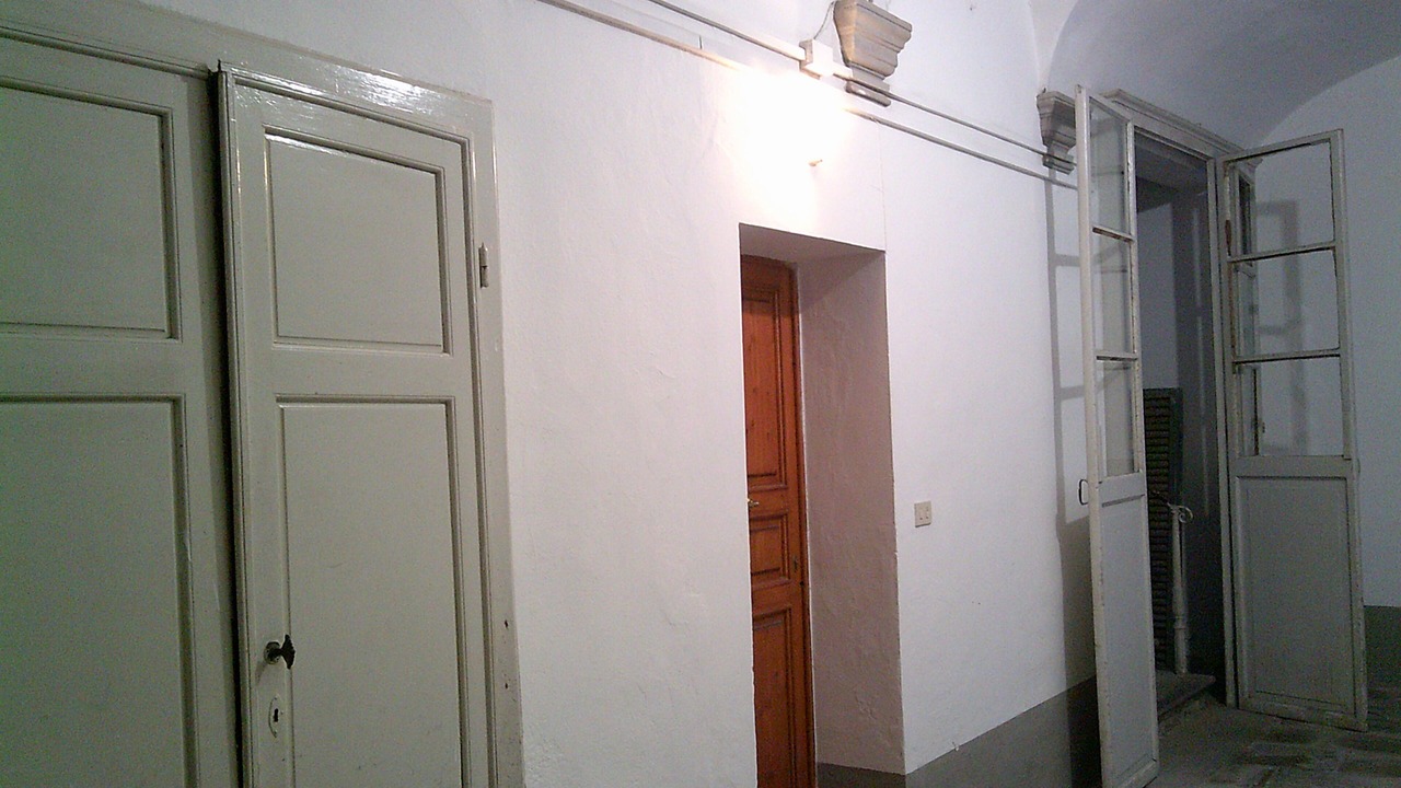 Photo of Others in Pisa City Centre