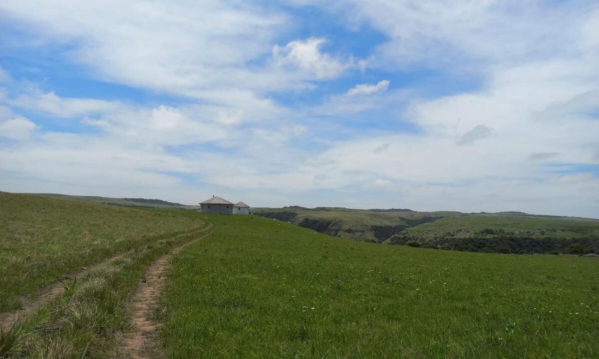 Photo of Outdoor in Lusikisiki