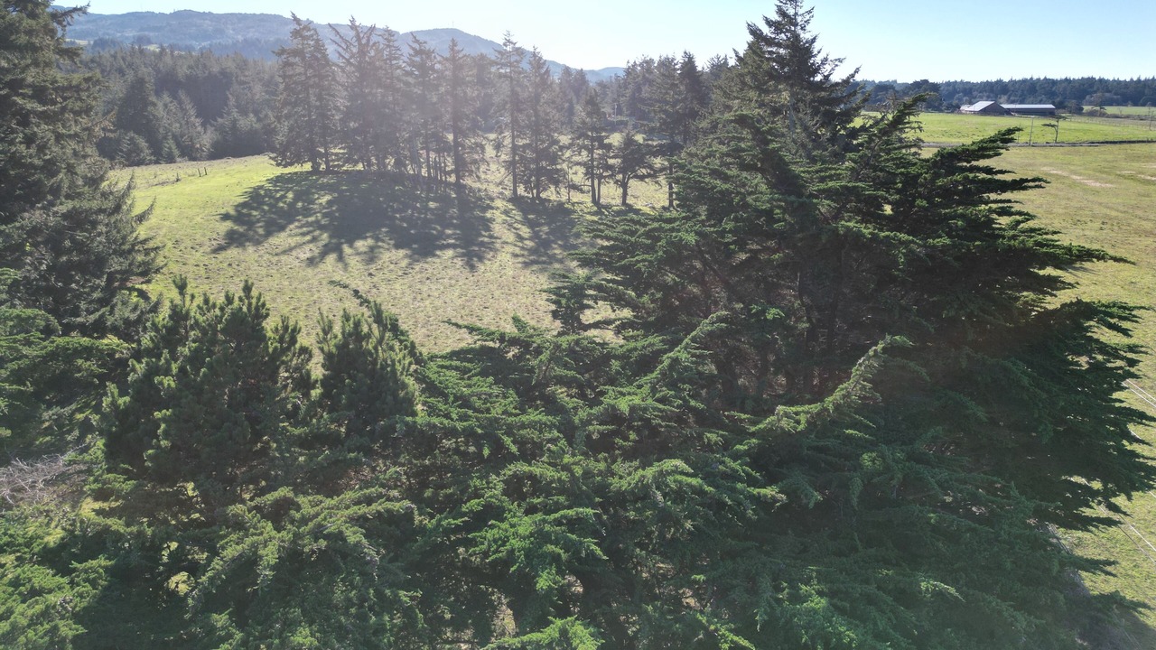 Photo of Outdoor in Langlois