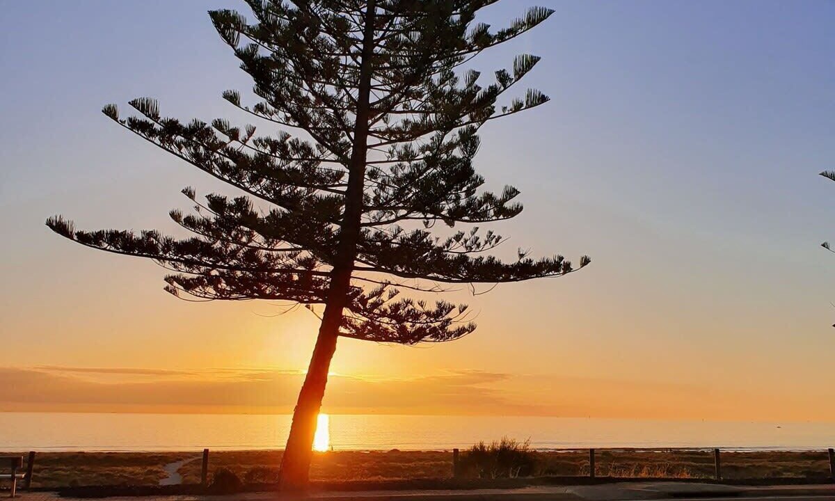 Photo of Others in Largs North