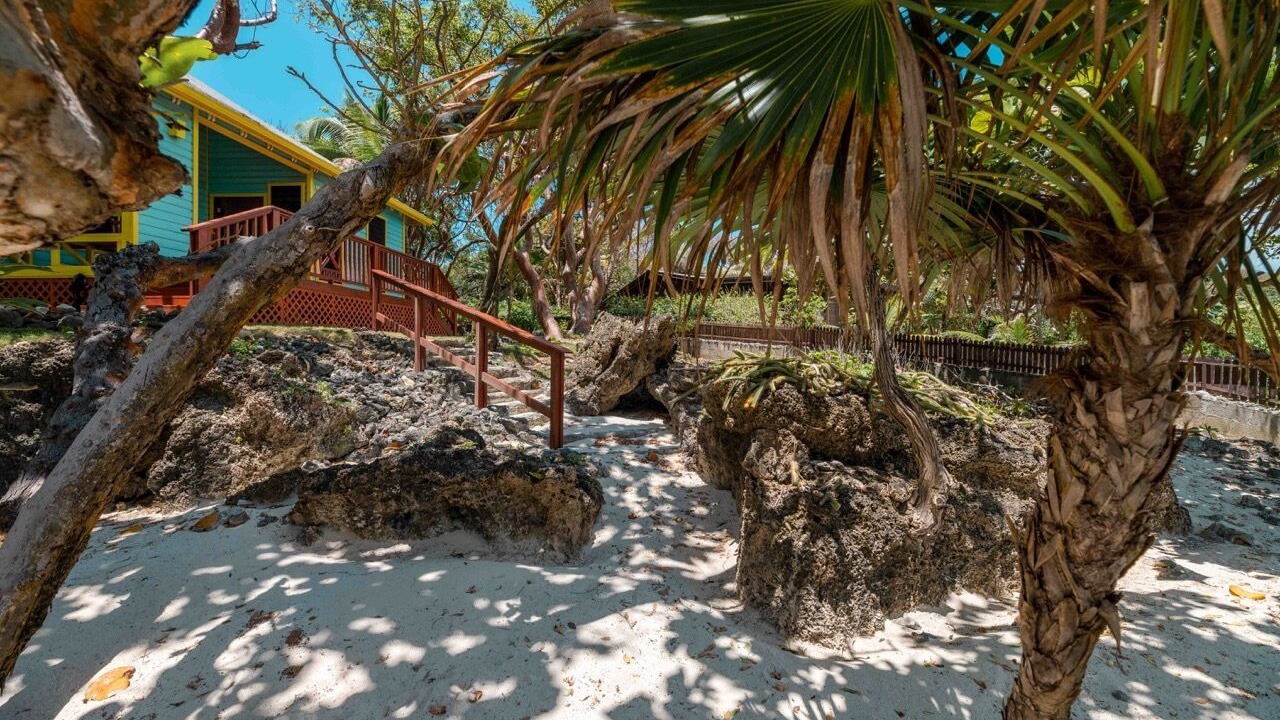 Photo of Outdoor in First Bight