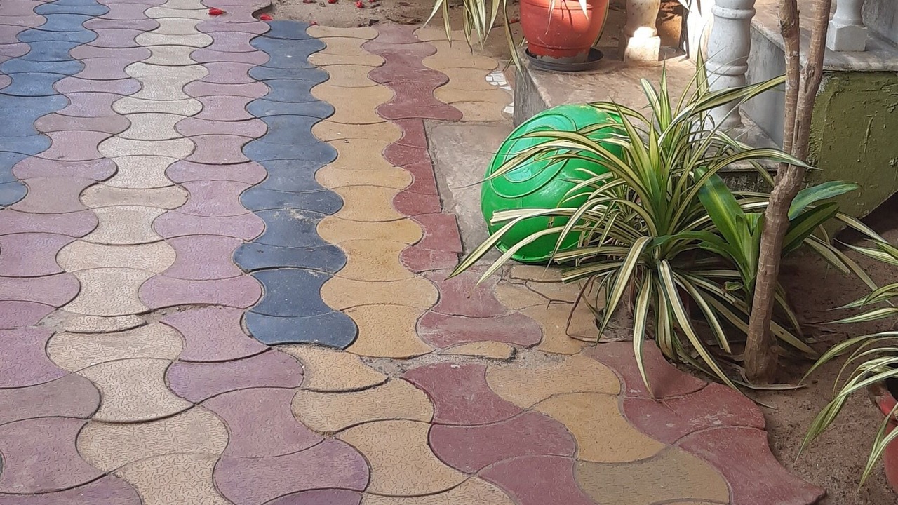 Photo of Others in Agonda