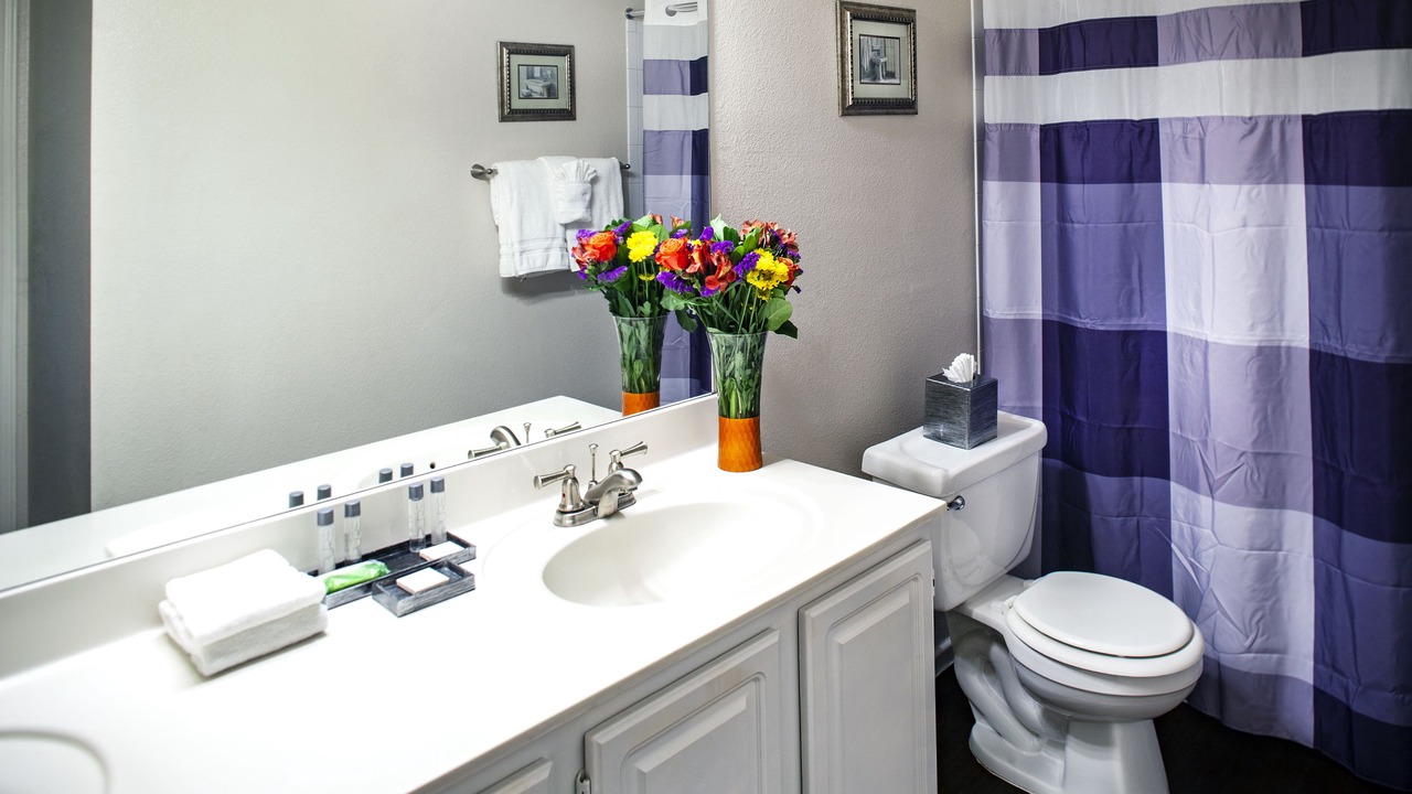 Photo of Bathroom in McCormick Ranch