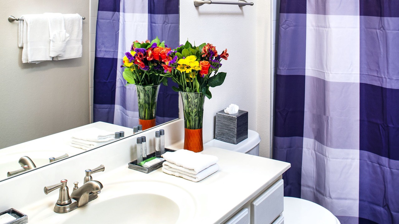 Photo of Bathroom in McCormick Ranch