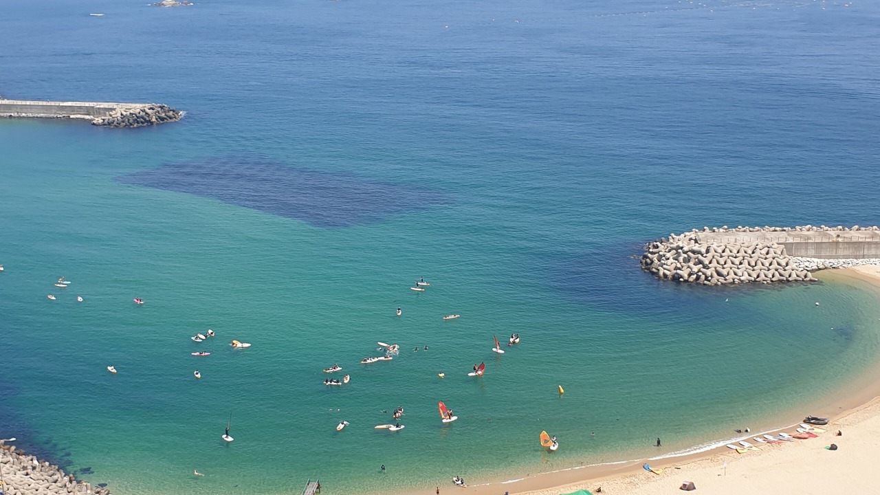 Photo of Others in Sokcho