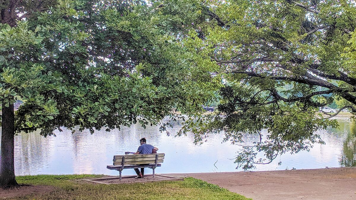 Photo of Outdoor in Shelby Hills
