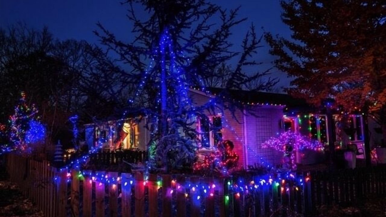 Photo of Outdoor in Shelby Hills