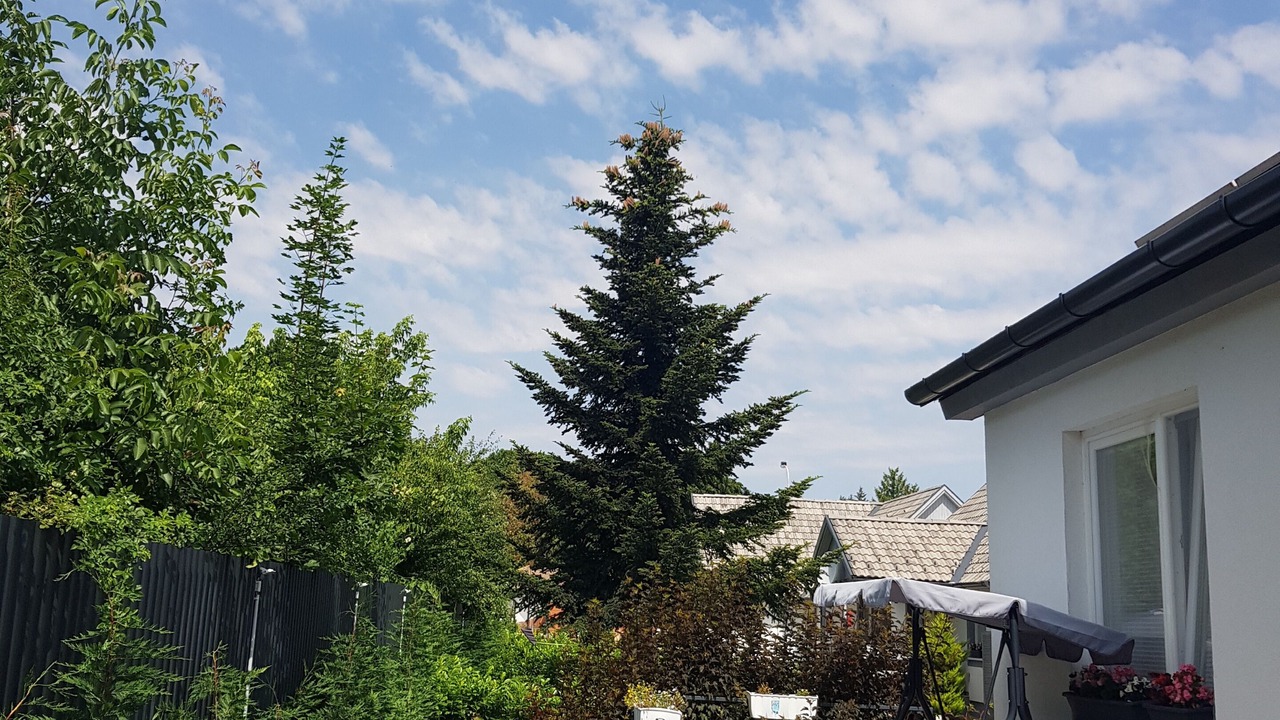 Photo of Outdoor in Bukfurdo