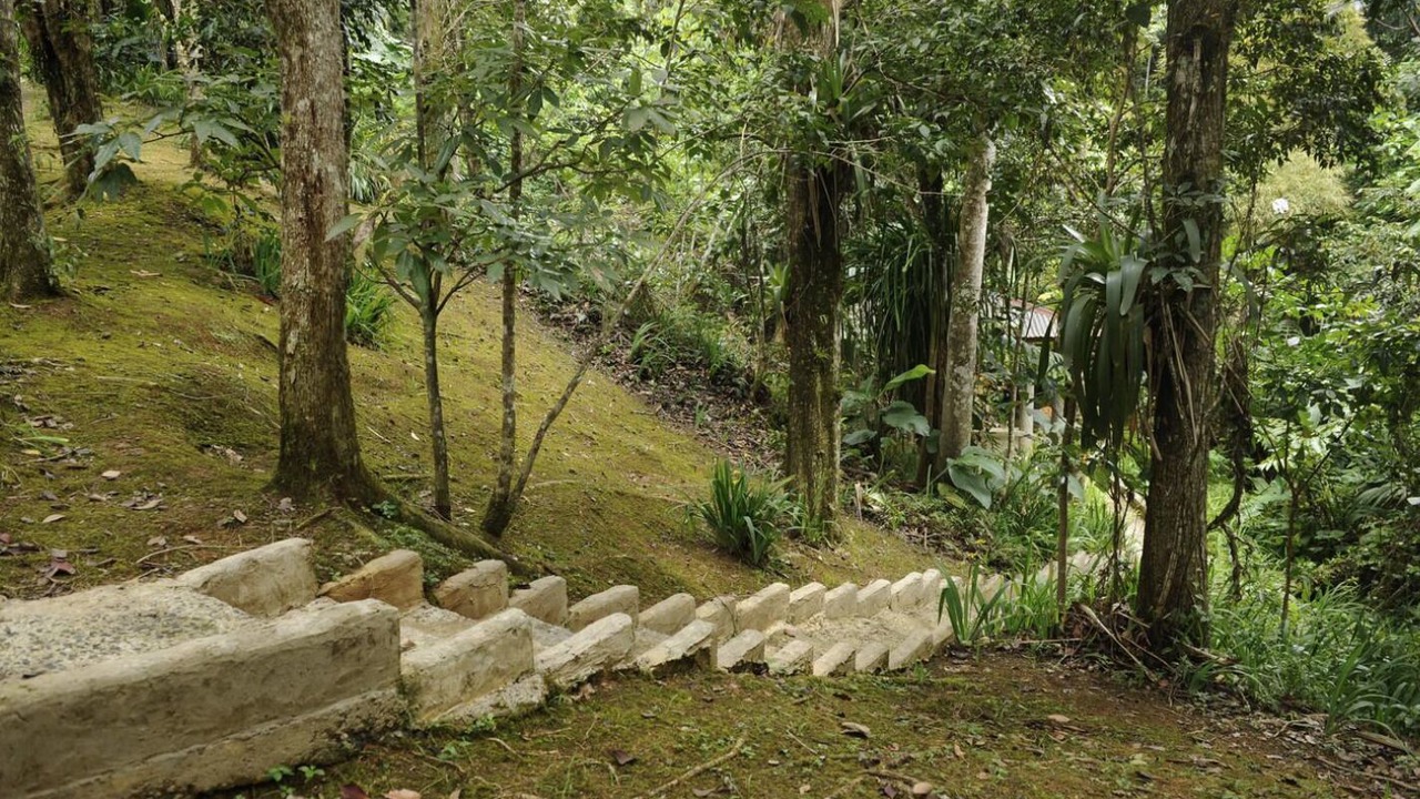 Photo of Outdoor in Canovanas