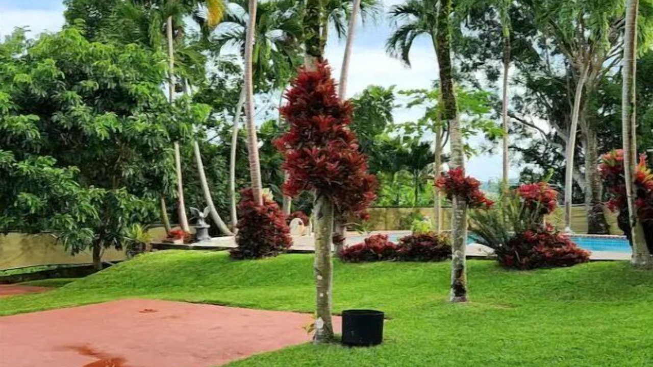 Photo of Outdoor in Naguabo