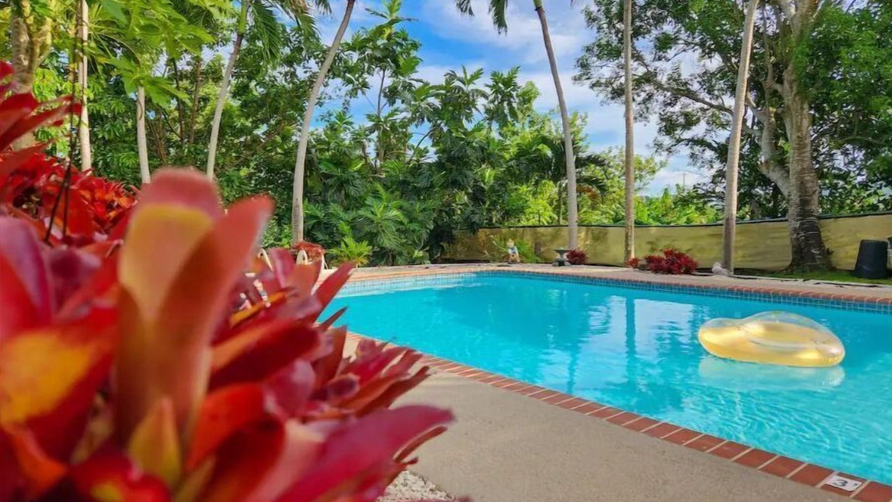 Photo of Outdoor in Naguabo