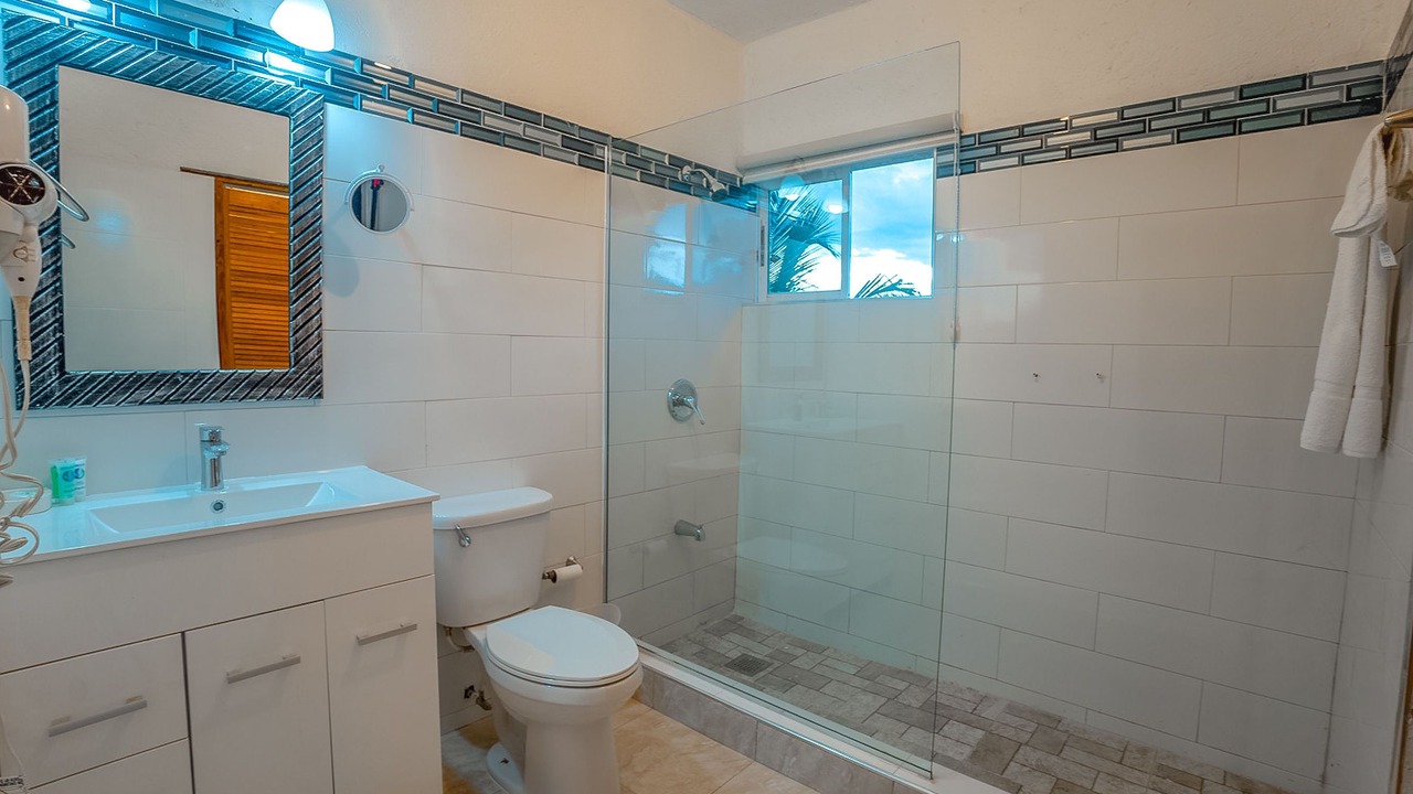 Photo of Bathroom in Lucea