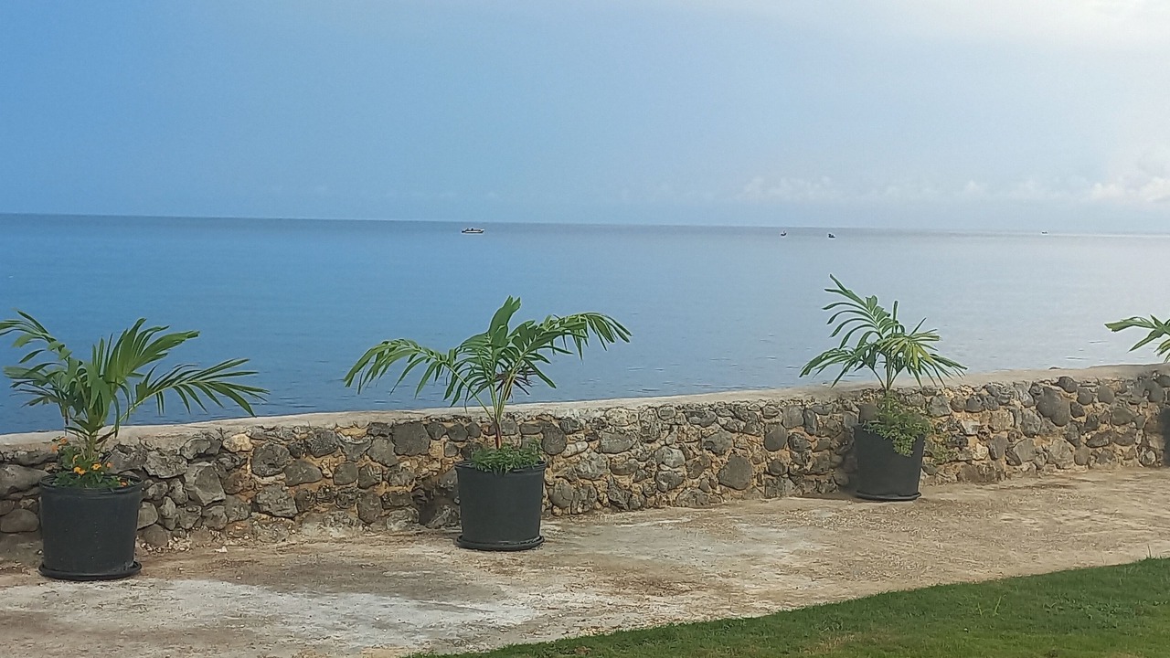 Photo of Outdoor in Lucea