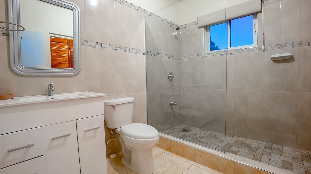 Photo of Bathroom in Lucea