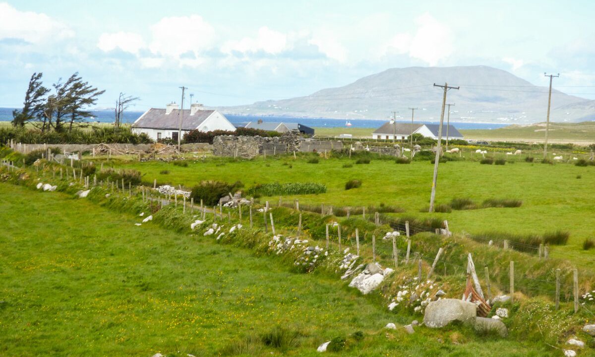 Photo of Others in Louisburgh