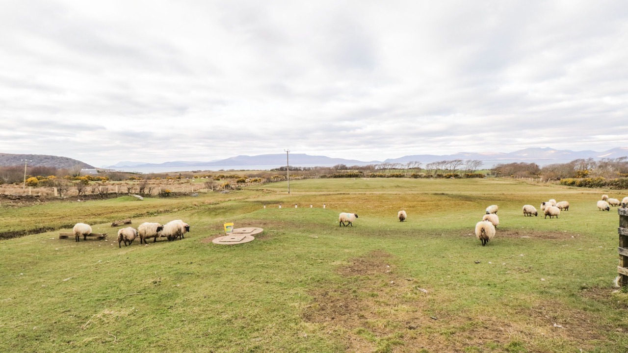 Photo of Others in Louisburgh