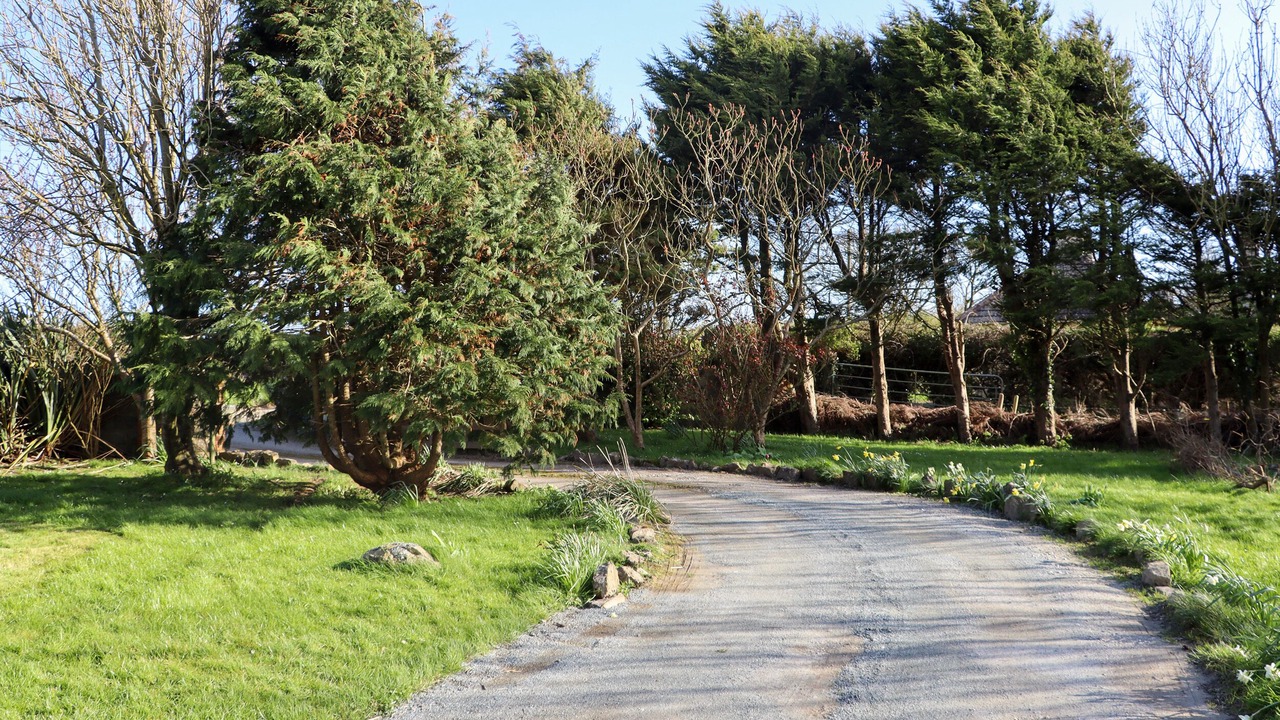Photo of Outdoor in Fethard on Sea