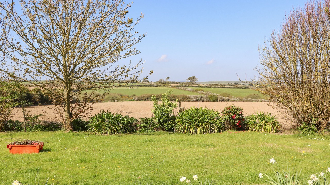 Photo of Outdoor in Fethard on Sea