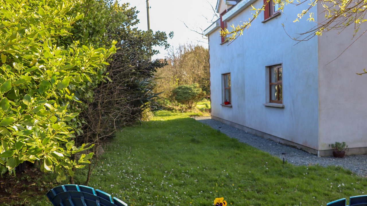 Photo of Outdoor in Fethard on Sea