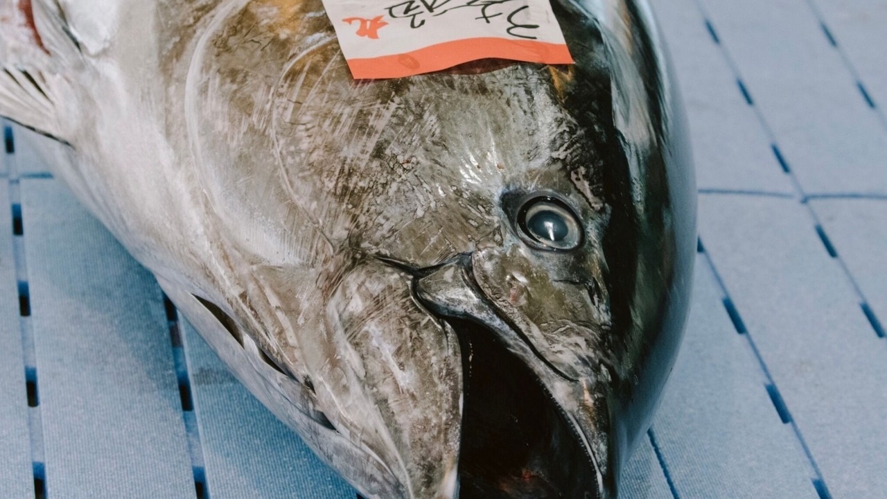 Photo of Outdoor in Tenma