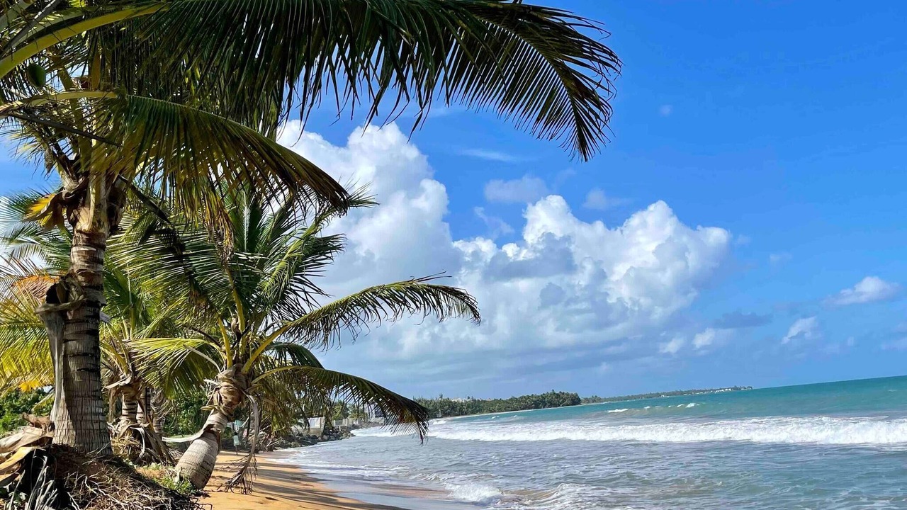 Photo of Others in Playa Fortuna