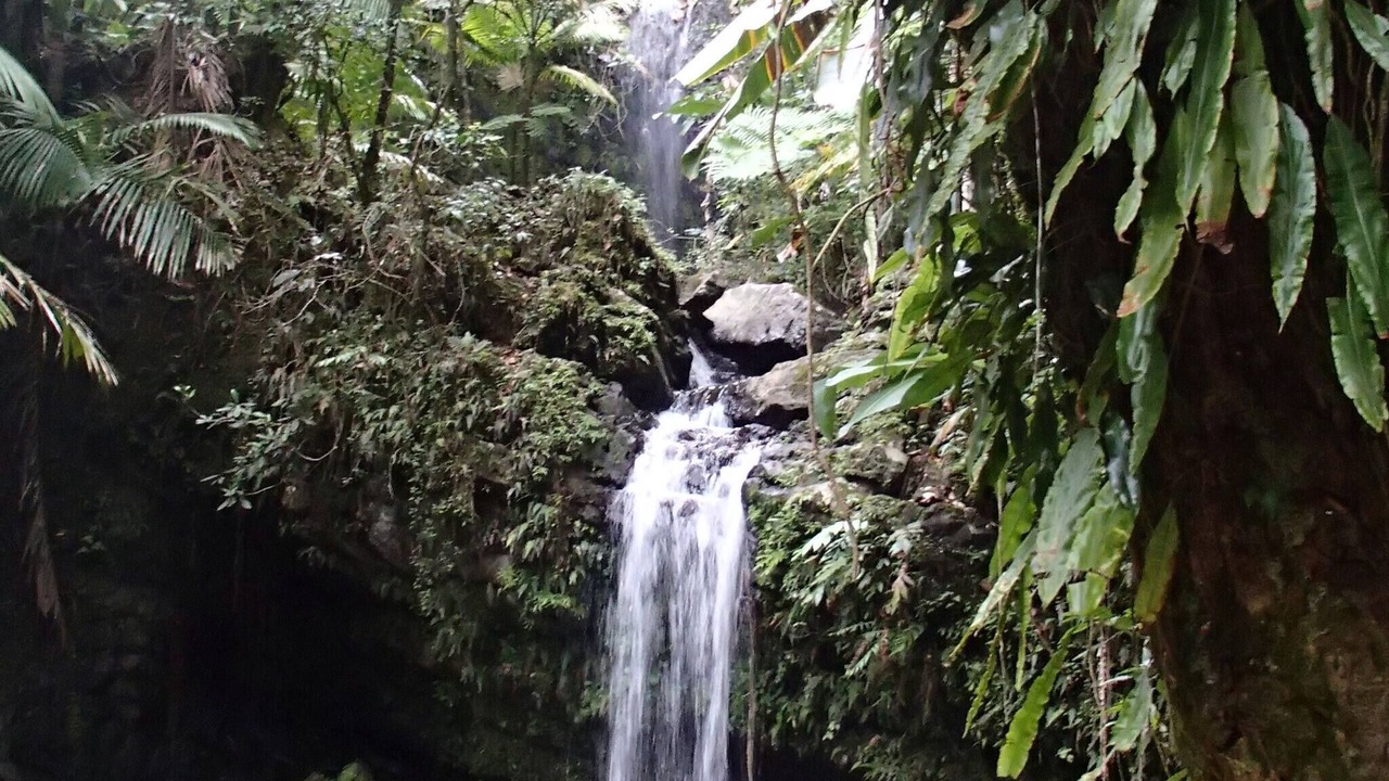Photo of Outdoor in Playa Fortuna