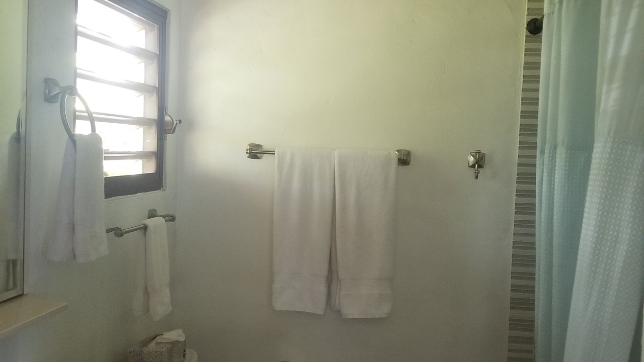 Photo of Bathroom in Esperanza