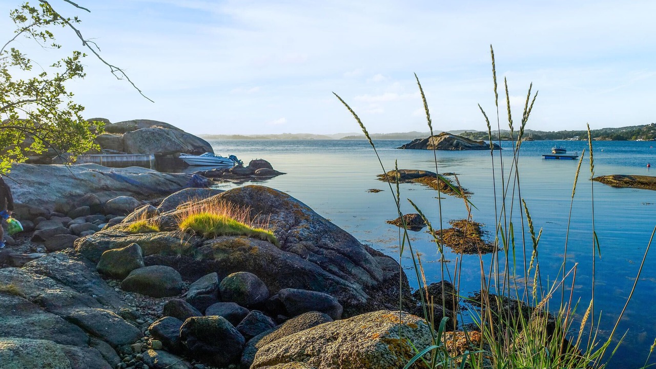 Photo of Others in Sandefjord