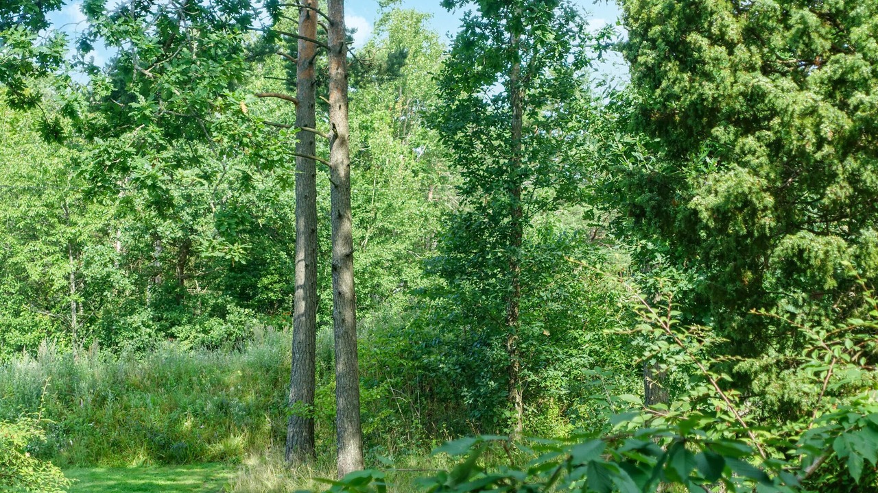 Photo of Others in Sandefjord