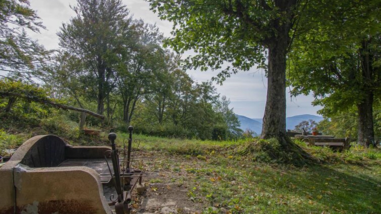 Photo of Outdoor in San Marcello Pistoiese