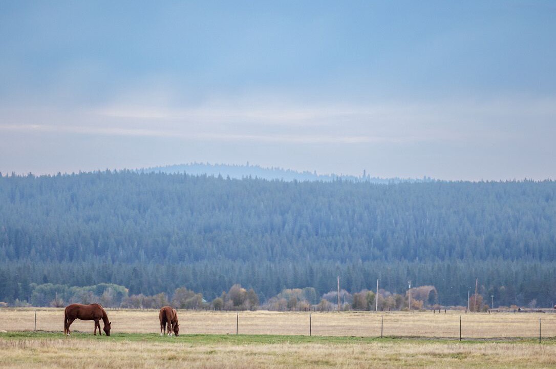 Photo of Others in Fort Klamath