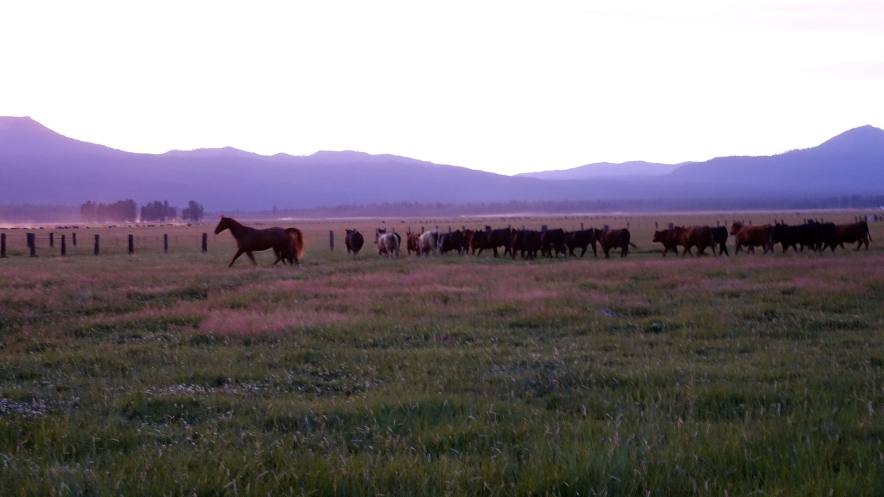 Photo of Others in Fort Klamath