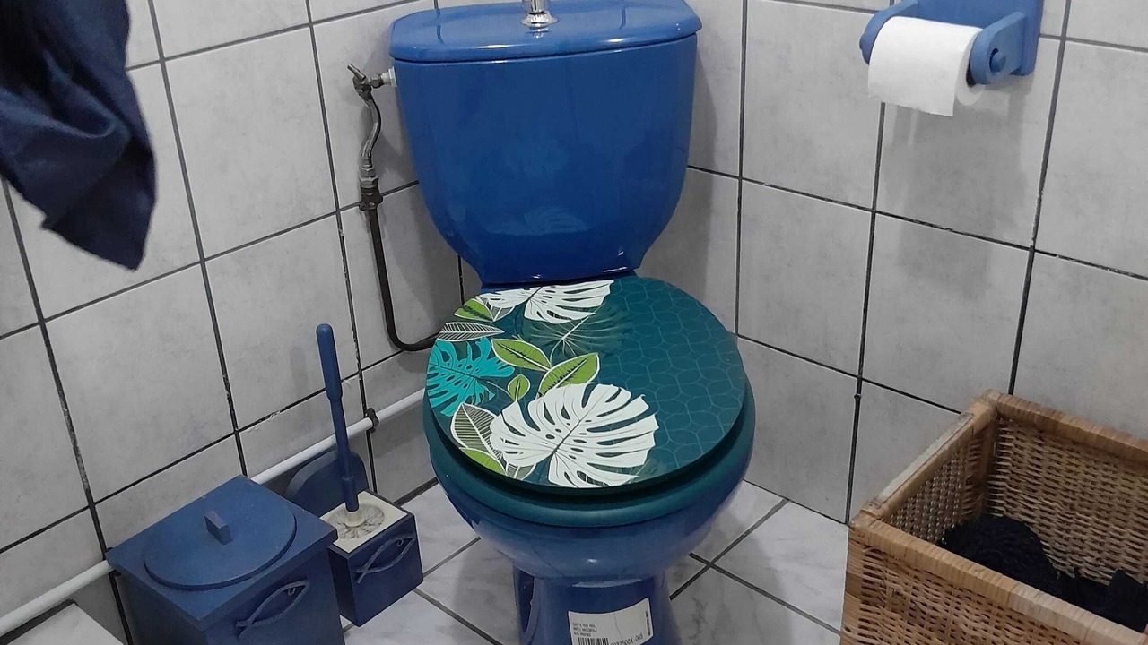 Photo of Bathroom in Baie-Mahault