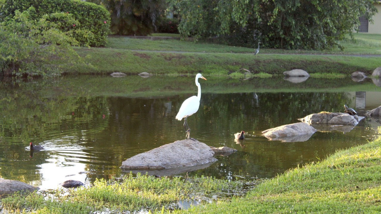 Photo of Outdoor in Candelero Abajo
