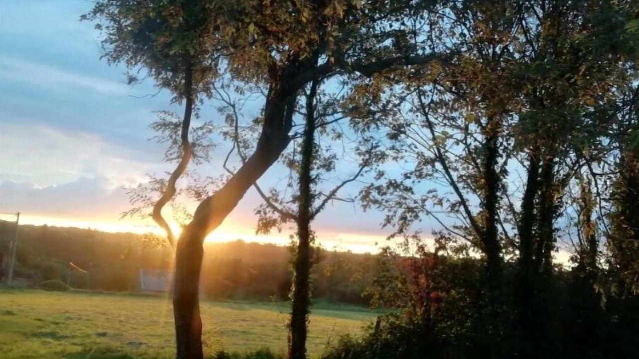 Photo of Outdoor in Locmelar
