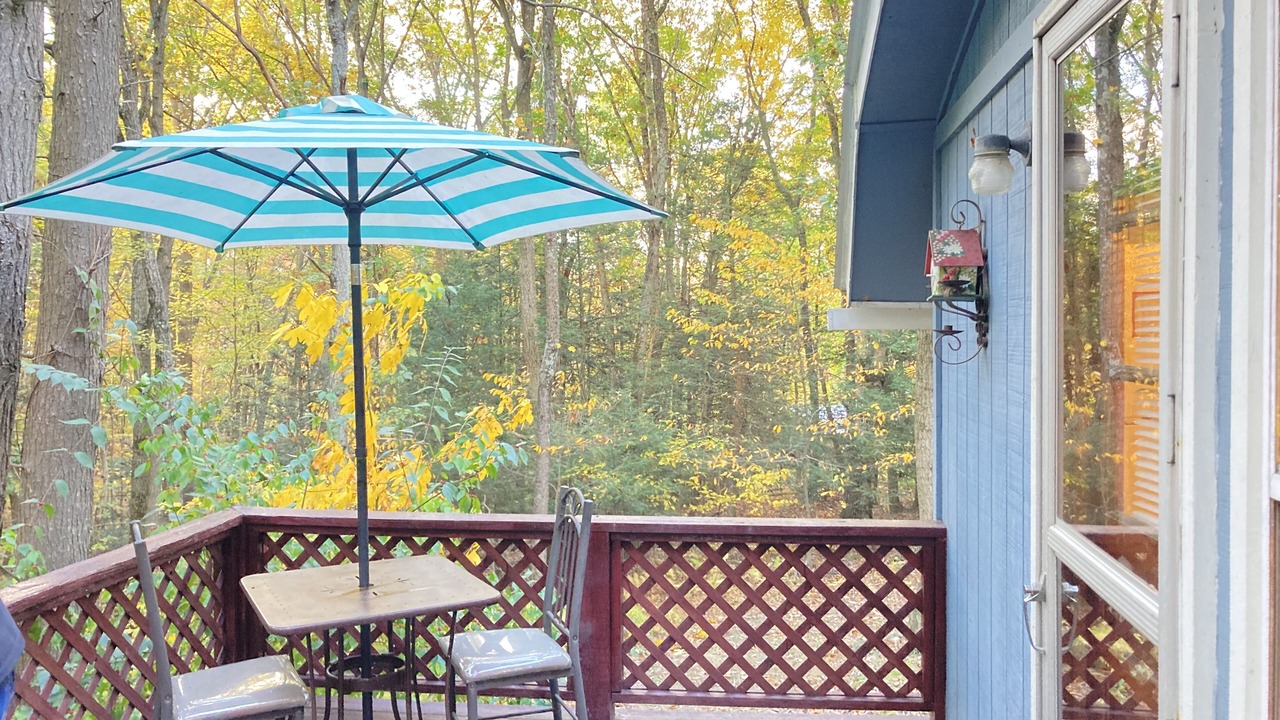 Photo of Outdoor in Calvin