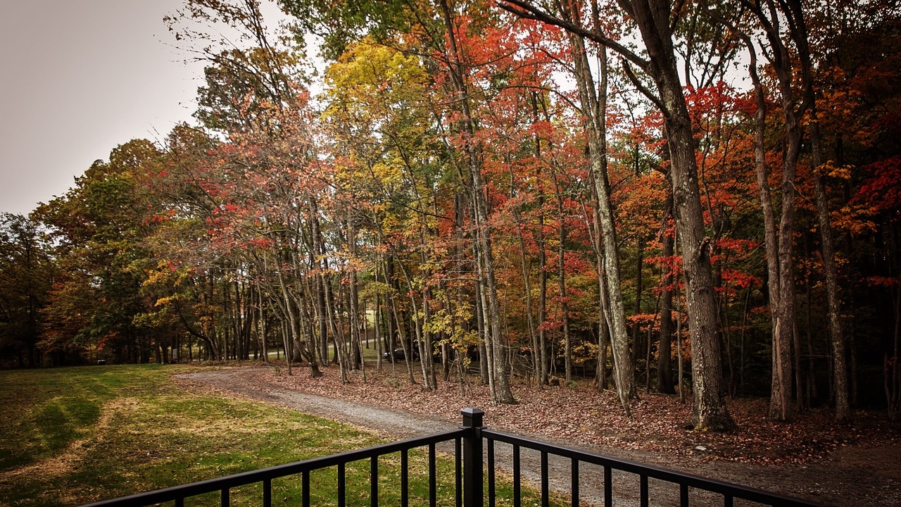 Photo of Outdoor in West Union