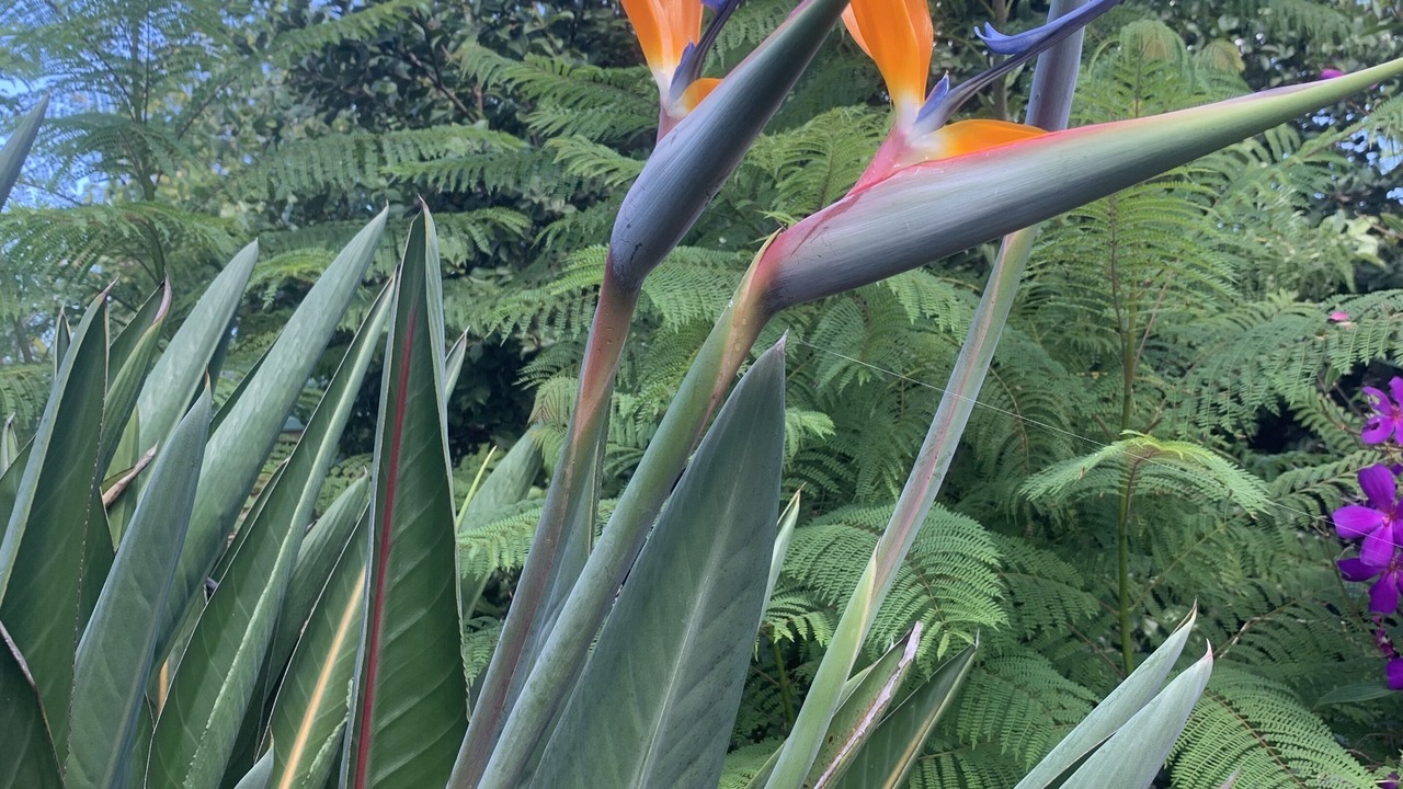 Photo of Outdoor in Emu Plains
