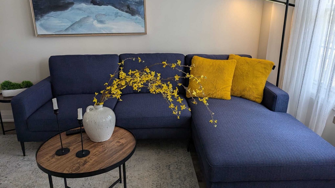 Photo of Livingroom in Cambridge