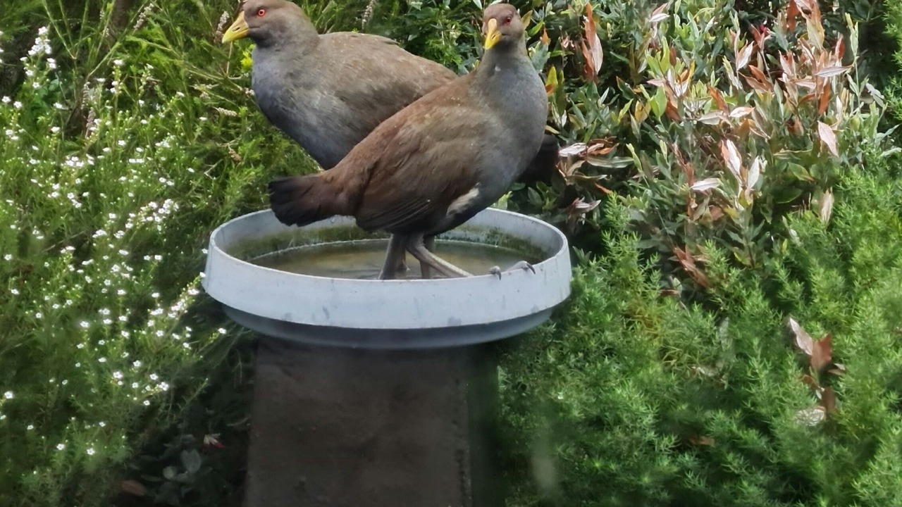 Photo of Outdoor in Dodges Ferry