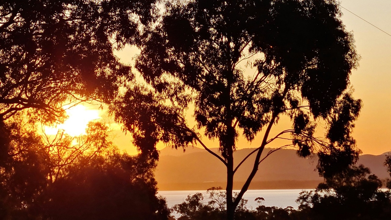 Photo of Outdoor in Dodges Ferry