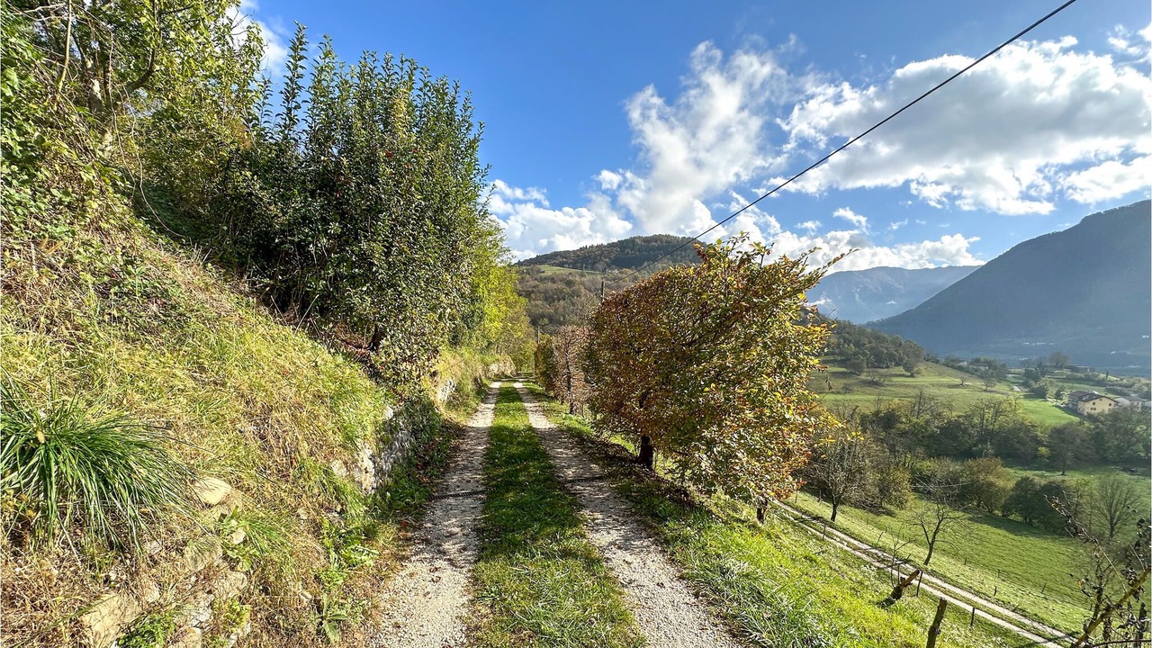 Photo of Others in Feltre